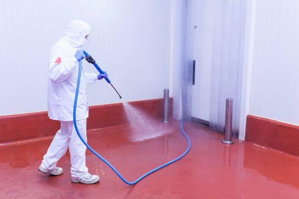 Best Sidewalk and Walkway Cleaning  in Richville, OH